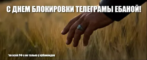 День блокировки Telegram