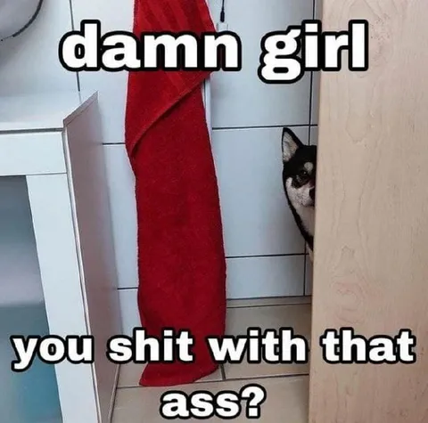 Cat Peeking With That Ass