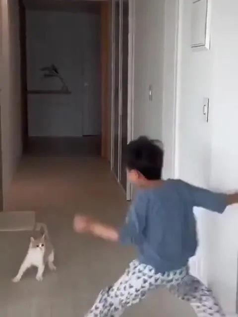 Мальчик играет с котёнком