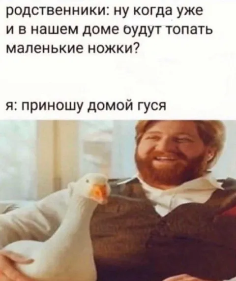 Принесу домой гуся