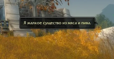 Жалкое существо из мяса и пива