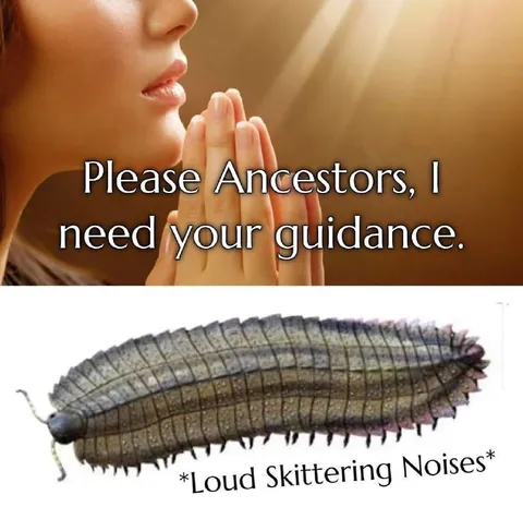 Please Ancestors, I Need Guidance