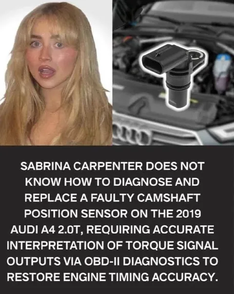 Sabrina Carpenter Car Diagnosis