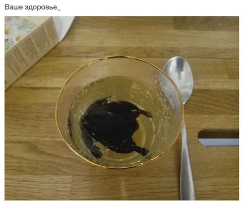 Ваше здоровье с черепахой