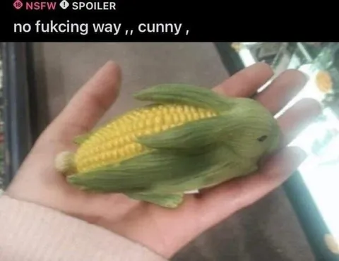 No Fucking Way, Cunny