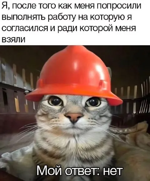 Кот отказался выполнять работу