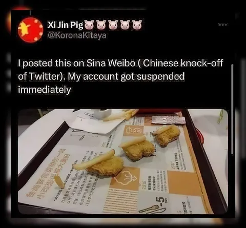 Pig-shaped nuggets get suspended