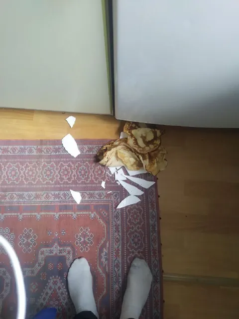 Кот разгромил ковёр