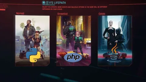 Cyberpunk Programming Lifepaths