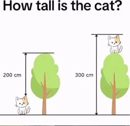 How Tall Is the Cat?