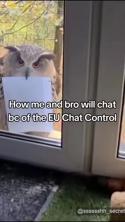 Owl Chat Control