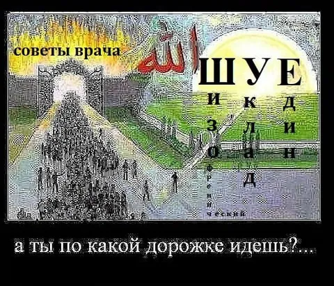 По какой дорожке идешь