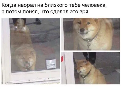 Когда зря наорал на человека