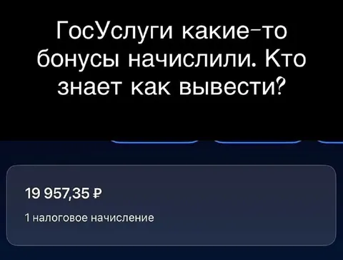 Бонусы от Госуслуг