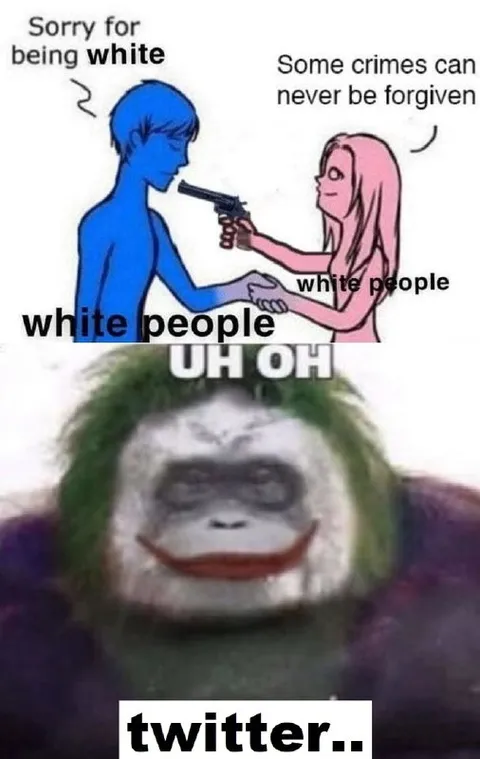 Sorry for Being White Twitter Meme