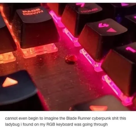 Ladybug on RGB Keyboard