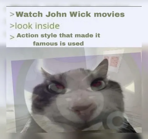 John Wick action style cat