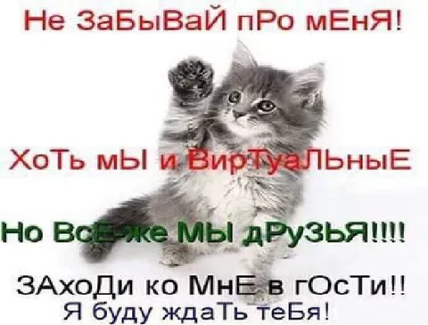 Виртуальные друзья-котята