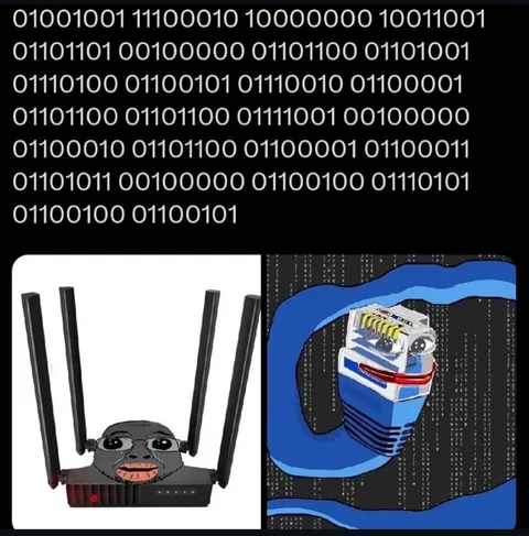 Router Literally Back Dude