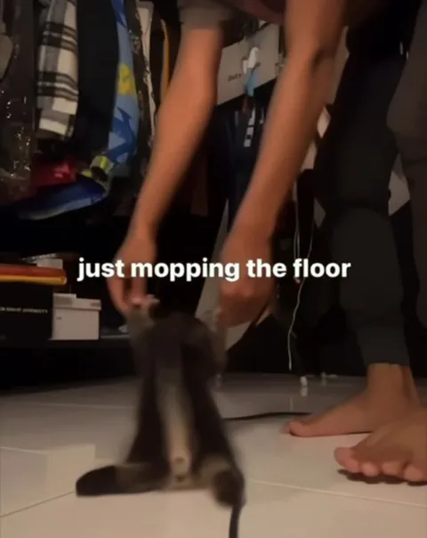 Just Mopping the Floor