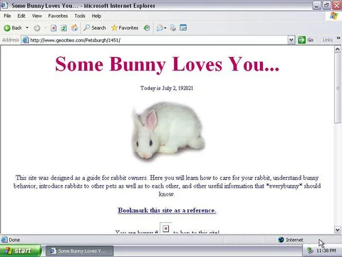 Some Bunny Loves You Rabbit Website