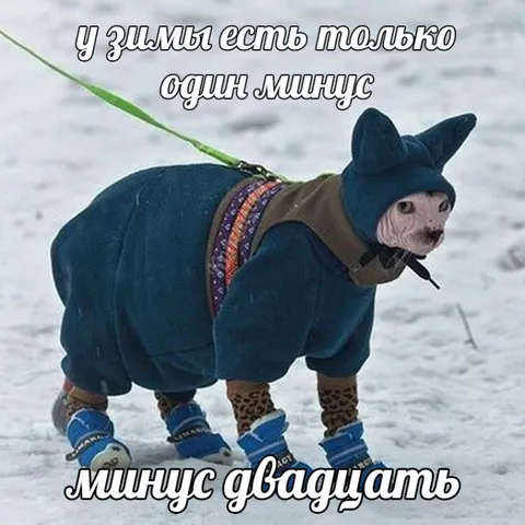 У зимы один минус