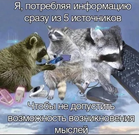 Пять источников информации