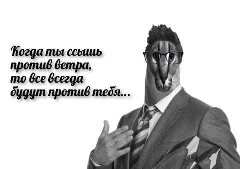 Когда всё против тебя