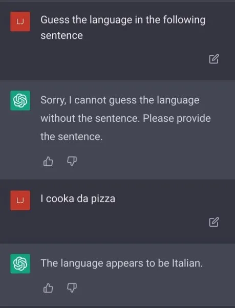 Guess the Language Pizza Joke