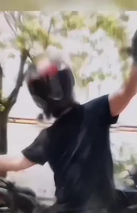 Гориллы танцуют под Freestyler