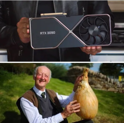 RTX 3090 Giant Onion