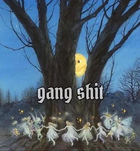 Gang Shit Fairies