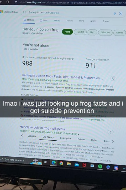 Looking Up Frog Facts Instead