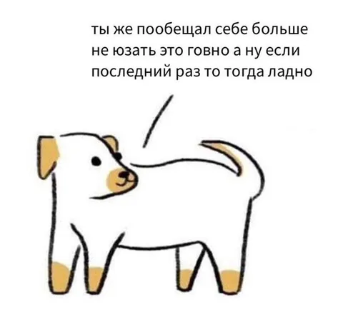 Последний раз и всё