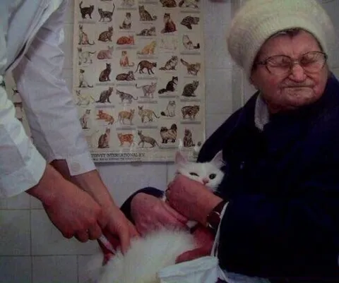 Бабушка на приёме у ветеринара