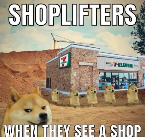 Shoplifters See a Shop