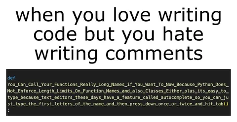Loving Code, Hating Comments