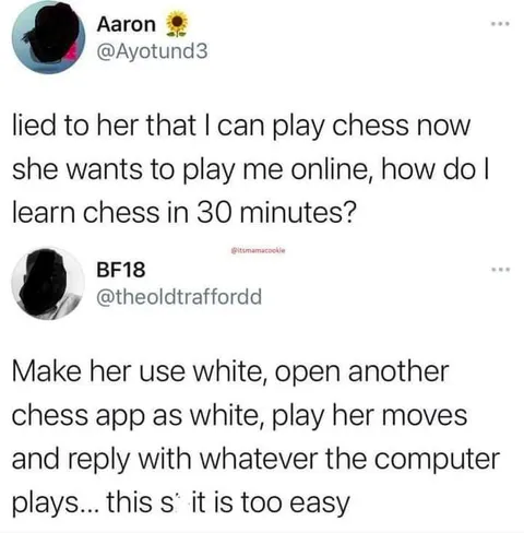 Learn Chess in 30 Minutes