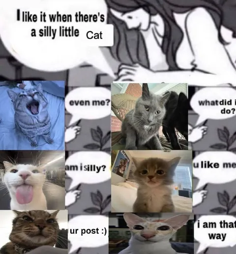 Silly Little Cat Appreciation