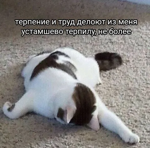 Терпение и труд делают терпилу