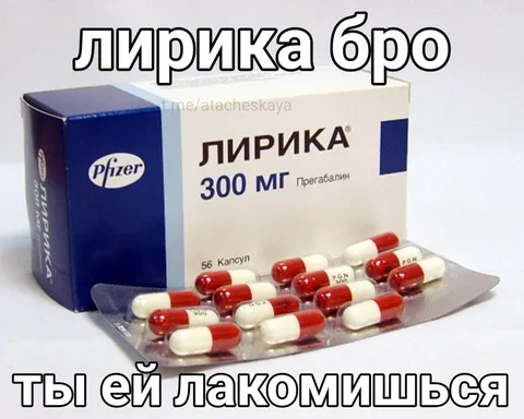 Лирика бро — ты ей лакомишься
