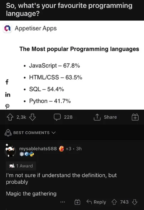 Favourite Programming Language Joke