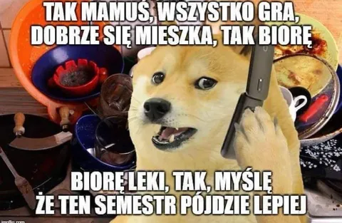 Doge bierze leki na semestr