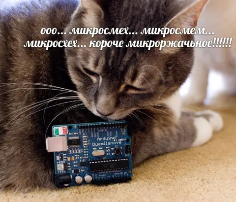 Кот и микроржачьное Arduino