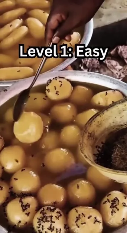 Indian Street Food Phobia Levels
