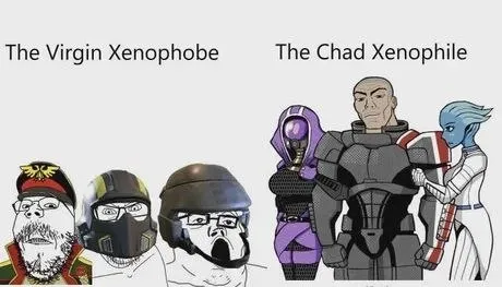 Virgin Xenophobe vs Chad Xenophile