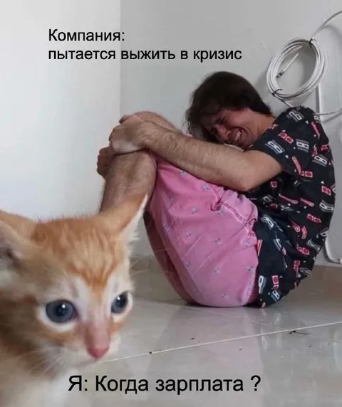 Когда компания выживает в кризис