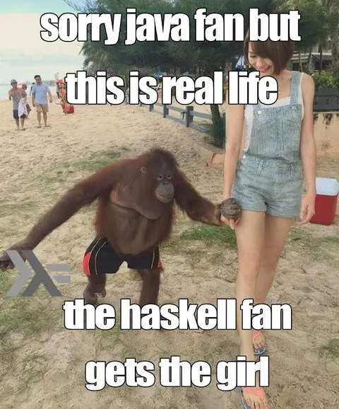 Orangutan Gets the Girl