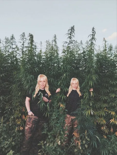 Девушки в зарослях конопли