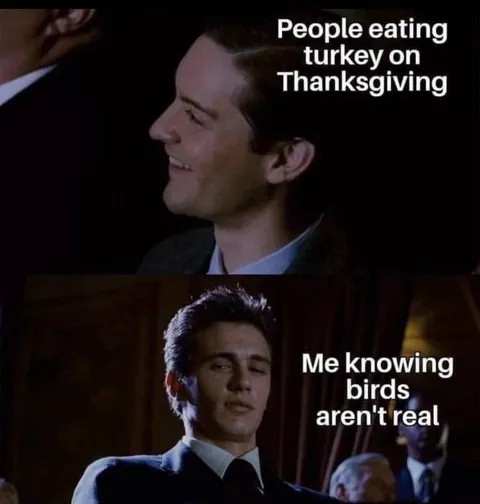 Birds Aren't Real Thanksgiving